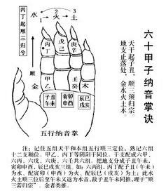 木 水|水与木 的关系？